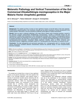 Melanotic Pathology and Vertical Transmission of the Gut Commensal Elizabethkingia Meningoseptica in the Major Malaria Vector Anopheles Gambiae