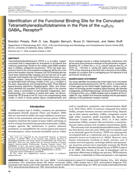 Identification of the Functional Binding Site for the Convulsant Tetramethylenedisulfotetramine in the Pore of the A2b3g2 GABAA