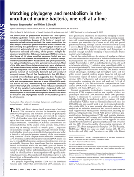 Matching Phylogeny and Metabolism in the Uncultured Marine Bacteria, One Cell at a Time