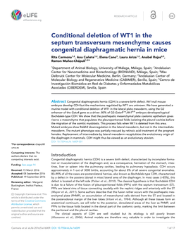 Conditional Deletion of WT1 in the Septum Transversum Mesenchyme