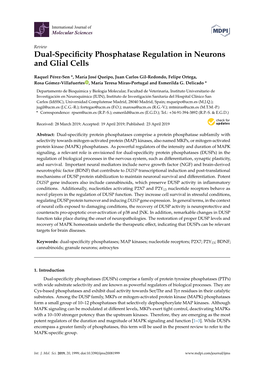 Dual-Specificity Phosphatase Regulation in Neurons and Glial Cells