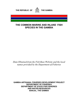 Common Marine and Inland Fish Species in the Gambia