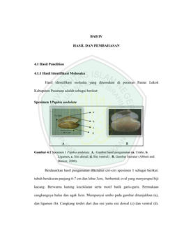 BAB IV HASIL DAN PEMBAHASAN 4.1 Hasil Penelitian 4.1.1 Hasil Identifikasi Molusaka Hasil Identifikasi Moluska Yang Ditemukan Di