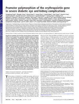 Promoter Polymorphism of the Erythropoietin Gene in Severe Diabetic Eye and Kidney Complications