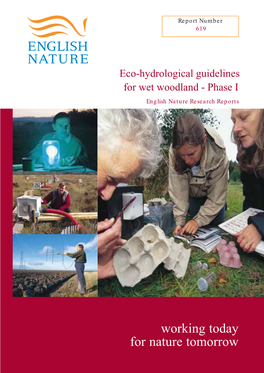 Eco-Hydrological Guidelines for Wet Woodland – Phase I