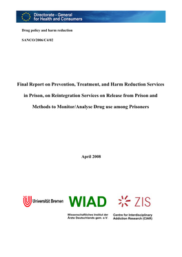 Final Report on Prevention, Treatment, and Harm Reduction Services