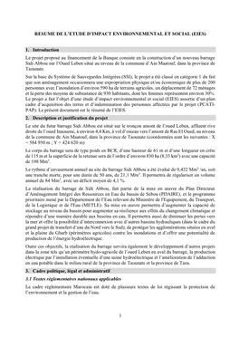 Resume De L'etude D'impact Environnemental Et Social (Eies)