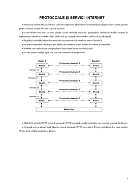 Protocoale Şi Servicii Internet