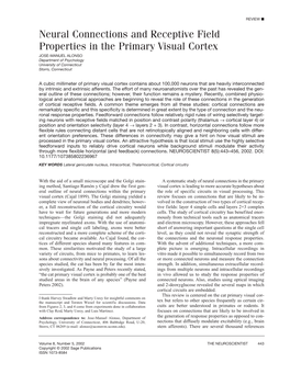 Neural Connections and Receptive Field Properties in the Primary