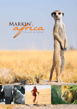 Markin Africa Reisen Mail.Pdf