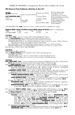 HORSE in TRAINING, Consigned by Conkwell Grange Stables (A