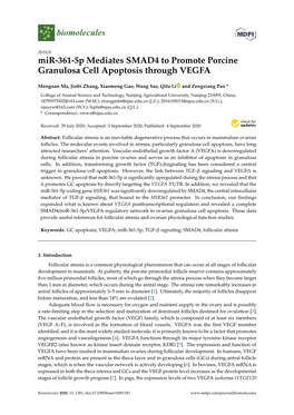 Mir-361-5P Mediates SMAD4 to Promote Porcine Granulosa Cell Apoptosis Through VEGFA