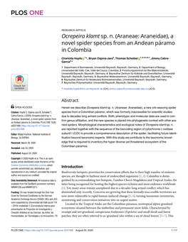Ocrepeira Klamt Sp. N. (Araneae: Araneidae), a Novel Spider Species from an Andean Pa´Ramo in Colombia