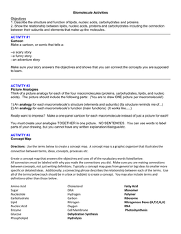 Biomolecule Activities Objectives 1. Describe the Structure and Function of Lipids, Nucleic Acids, Carbohydrates and Proteins
