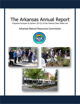 The Arkansas Annual Report 2015