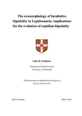 The Ecomorphology of Facultative Bipedality in Lepidosauria: Implications for the Evolution of Reptilian Bipedality