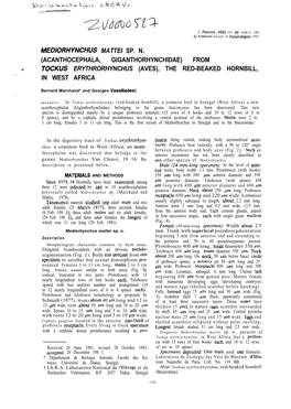 Mediorhynchus Mattei Sp. N. (Acanthocephala, Giganthorhynchidae) from ? Tockus Erythrorhynchus (Aves), the Red-Beaked Hornbill
