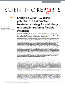 Endolysin Lysef-P10 Shows Potential As an Alternative Treatment Strategy