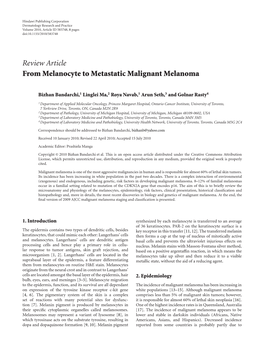 From Melanocyte to Metastatic Malignant Melanoma