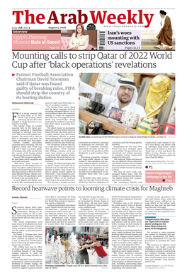 Mounting Calls to Strip Qatar of 2022 World Cup After