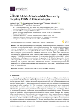 Mir-218 Inhibits Mitochondrial Clearance by Targeting PRKN E3 Ubiquitin Ligase