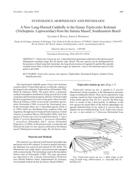 A New Long-Horned Caddisfly in the Genus Triplectides Kolenati