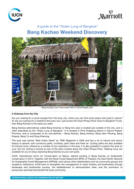 Bang Kachao Guide 01.03.2014