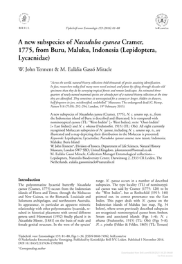 A New Subspecies of Nacaduba Cyanea Cramer, 1775, from Buru, Maluku, Indonesia (Lepidoptera, Lycaenidae) W