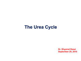 The Urea Cycle