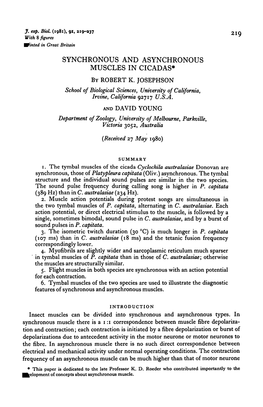 Synchronous and Asynchronous Muscles in Cicadas* by Robert K