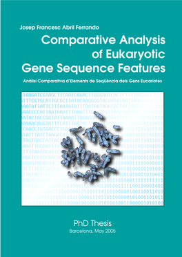 Comparative Analysis of Eukaryotic Gene Sequence Features