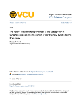 The Role of Matrix Metalloproteinase 9 and Osteopontin in Synaptogenesis and Reinnervation of the Olfactory Bulb Following Brain Injury