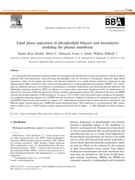 Lipid Phase Separation in Phospholipid Bilayers and Monolayers Modeling the Plasma Membrane