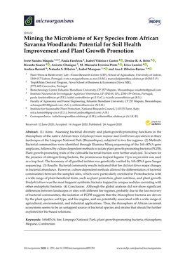 Mining the Microbiome of Key Species from African Savanna Woodlands: Potential for Soil Health Improvement and Plant Growth Promotion