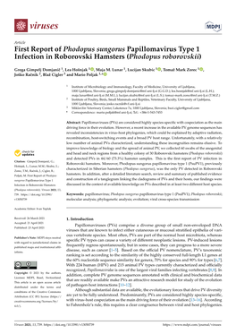 First Report of Phodopus Sungorus Papillomavirus Type 1 Infection in Roborovski Hamsters (Phodopus Roborovskii)