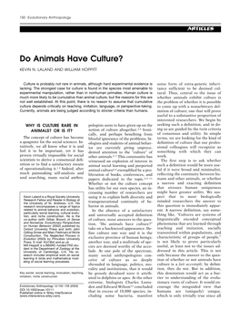 Do Animals Have Culture?