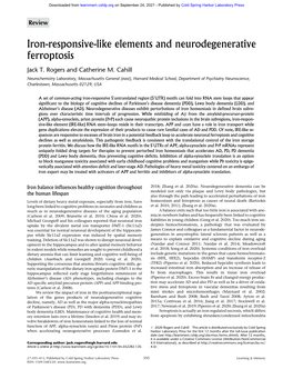 Iron-Responsive-Like Elements and Neurodegenerative Ferroptosis