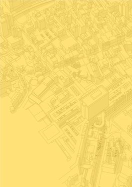 Town Centre Masterplan Stage 1: Baseline Analysis Report