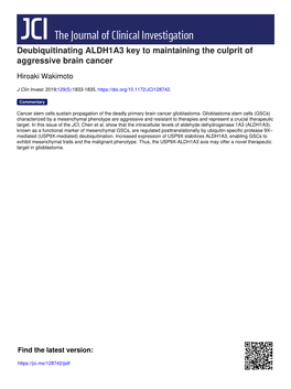 Deubiquitinating ALDH1A3 Key to Maintaining the Culprit of Aggressive Brain Cancer