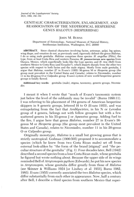 Genitalic Characterization, Enlargement, and Reassociation of the Neotropical Hesperiine Genus Halotus (Hesperiidae)