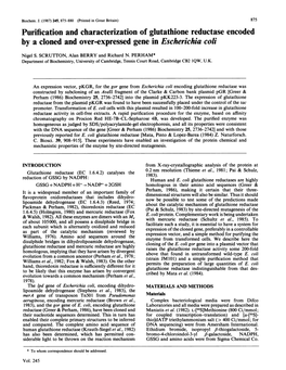 By a Cloned and Over-Expressed Gene in Escherichia Coli