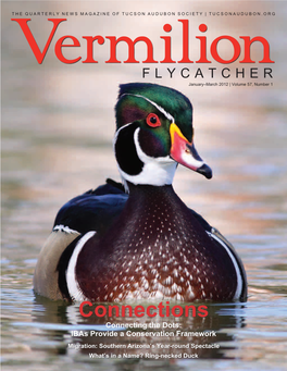 JANUARY–MARCH 2012 Vermilion Flycatcher