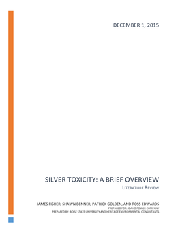 Silver Toxicity: a Brief Overview Literature Review