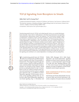 TGF-B Signaling from Receptors to Smads