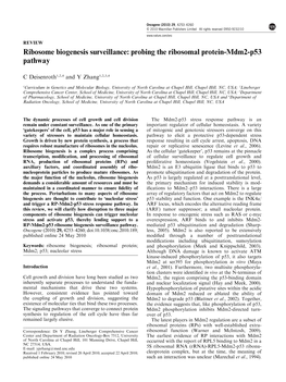 Probing the Ribosomal Protein-Mdm2-P53 Pathway