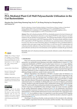 PUL-Mediated Plant Cell Wall Polysaccharide Utilization in the Gut Bacteroidetes