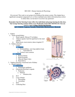 BIO 2402 MT Resource 12