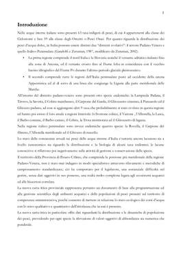 Carta Ittica Pesaro 11