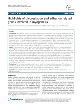 Highlights of Glycosylation and Adhesion Related Genes Involved In