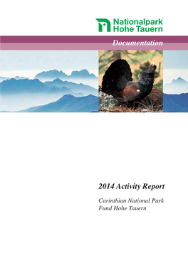 2014 Activity Report Documentation